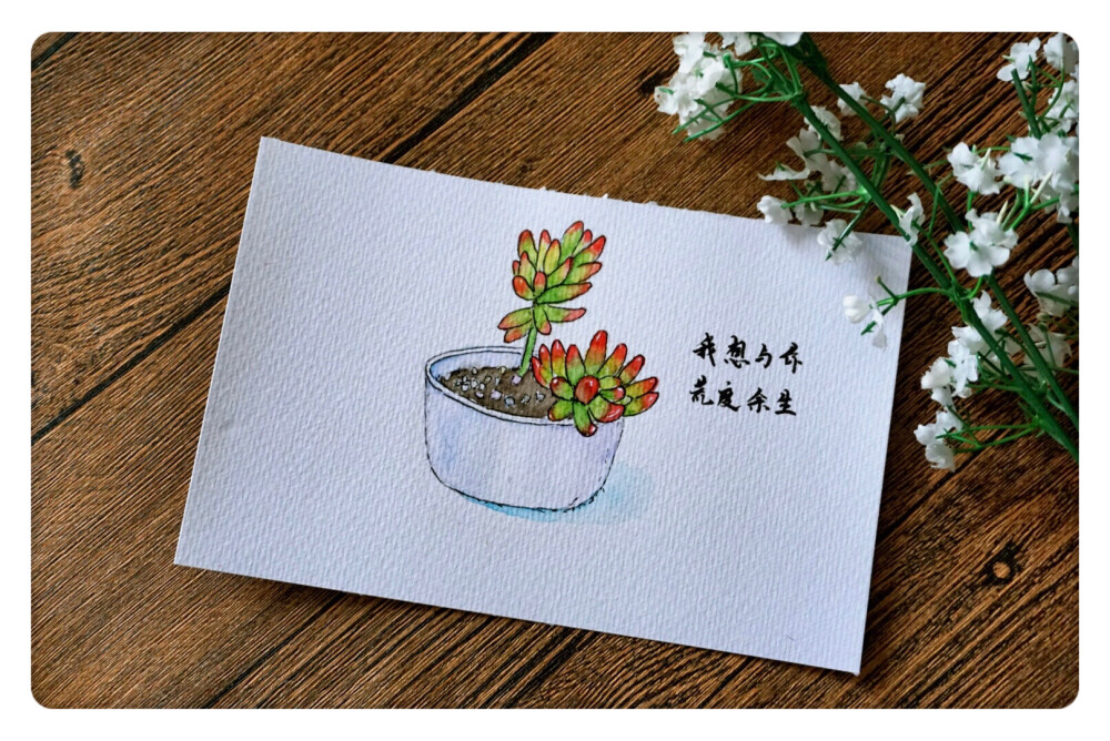 2018年水彩插画作品 作者Trista手帐生活