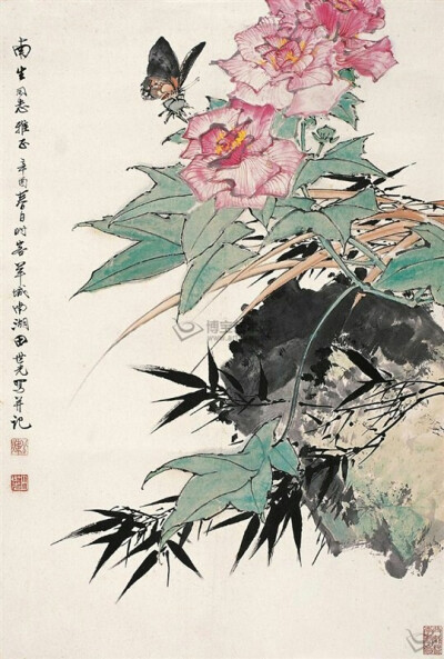 芙蓉
