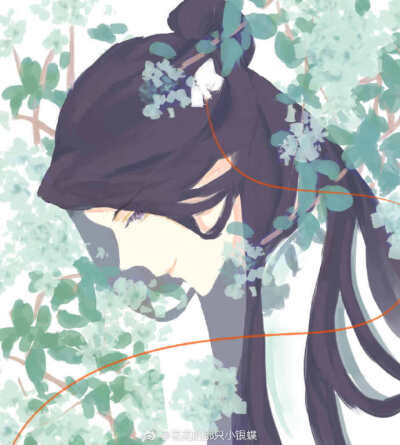 怜怜 谢怜 花城 花花 天官赐福