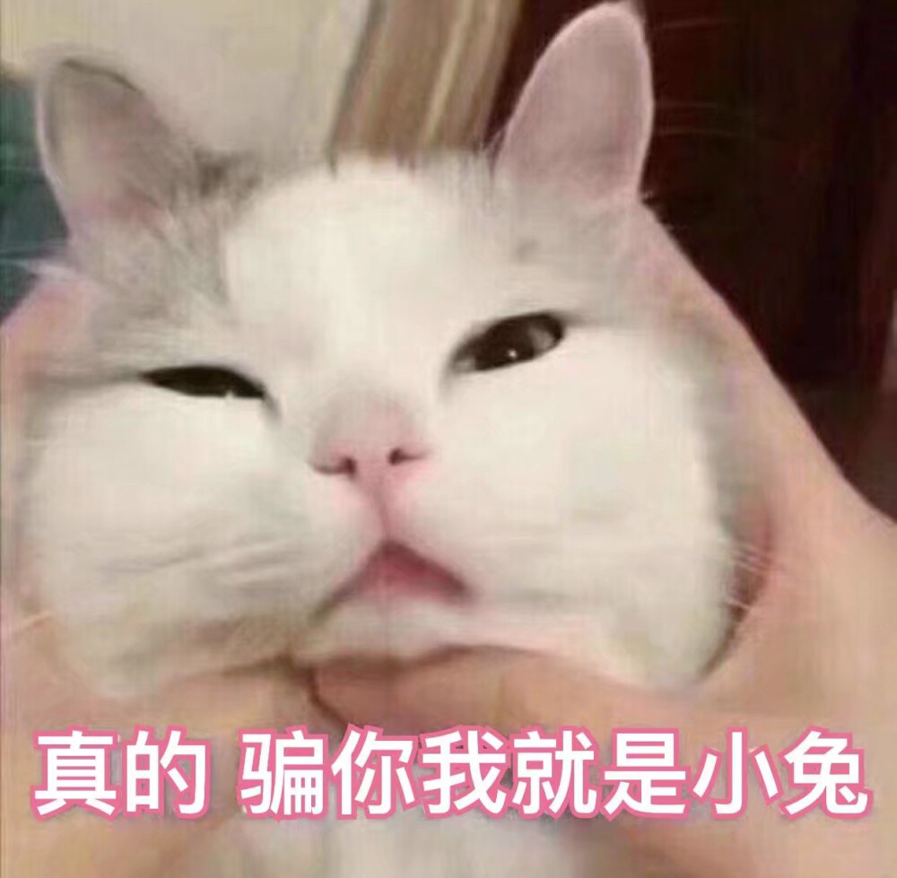 喜欢的