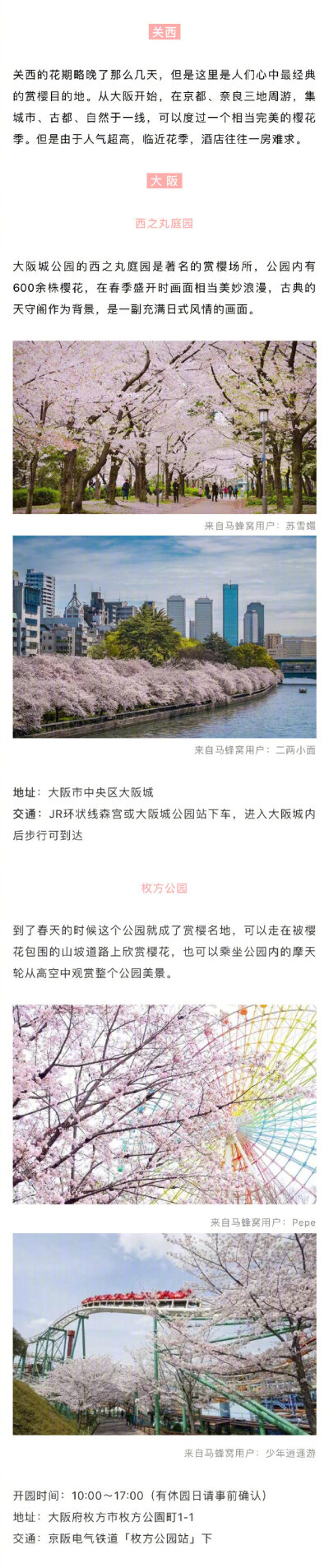 2019年日本樱花季花期已出，最佳赏樱地收好 分享来自：马蜂窝旅游