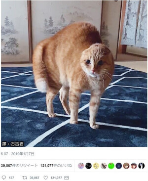 。