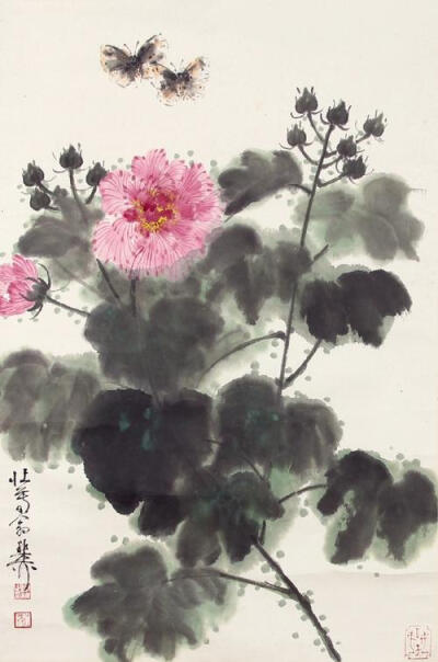 芙蓉