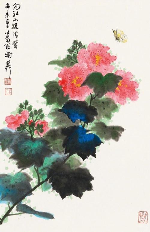 芙蓉