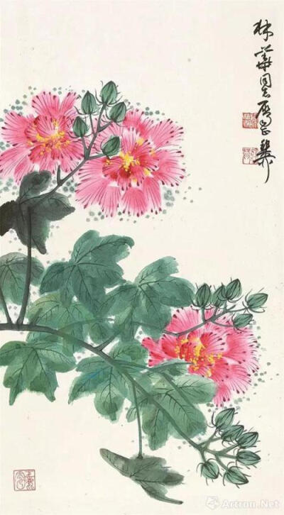 芙蓉