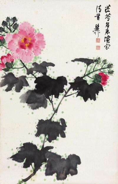 芙蓉