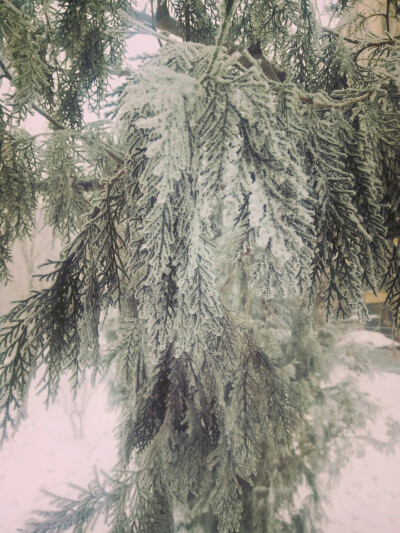 微雪 大雾