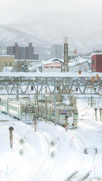 瑞士雪景：泰国：日本北海道 