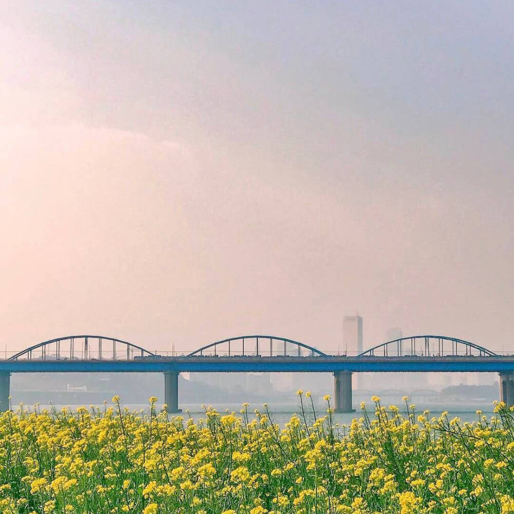 可惜喜欢不是爱♡
清新小图