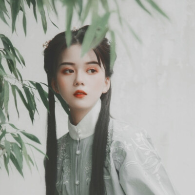 我以心動殺人罪逮捕你. Dear Mr. Zhang