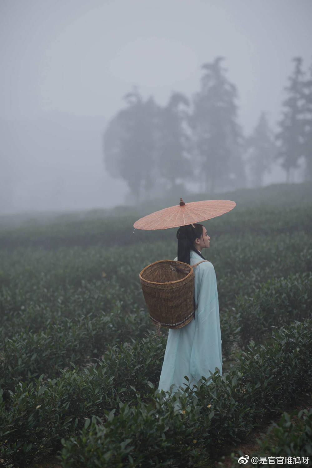 “捻二两首乌在纸上
药引是黄粱
半夏新月照千里光
与君一别 两苍茫”
摄影/后期：@是官官雎鸠呀
出镜：@Ulrica金姨 ​​​