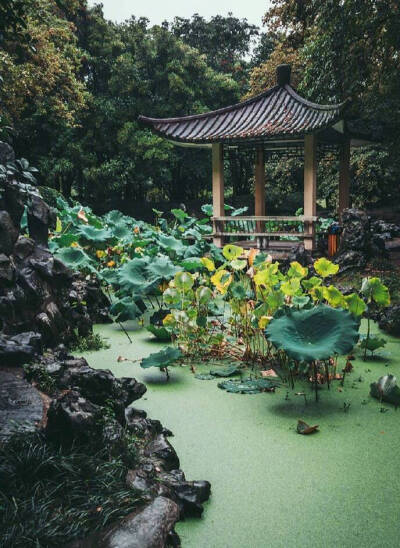 枕上诗书闲处好，门前风景雨来佳。