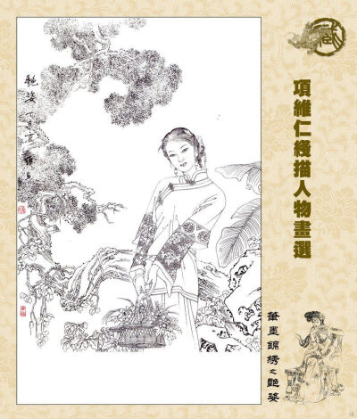 项大师的仕女线稿