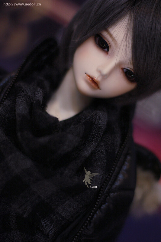 BJD，AE家的