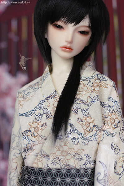 BJD，AE家的