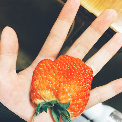 跟手掌一样大的strawberry嘻嘻