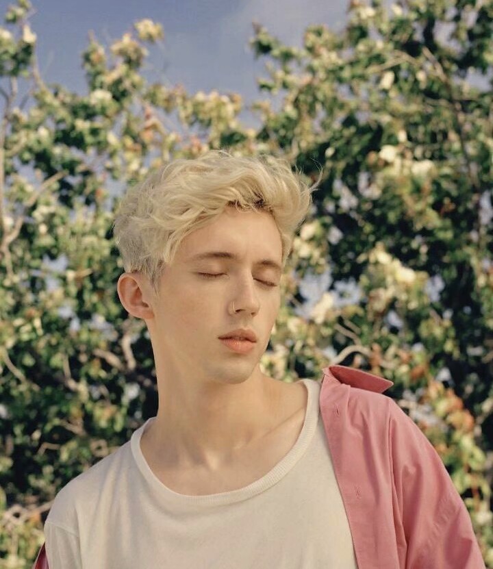 TroyeSivan