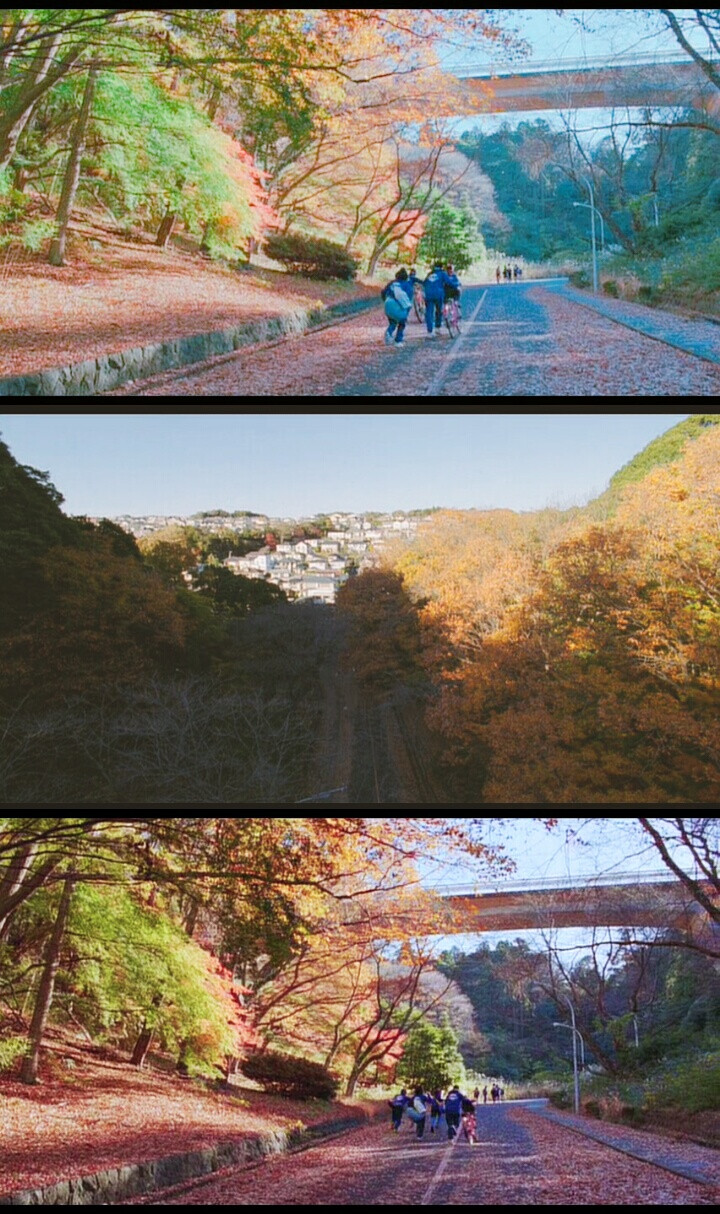 台词截屏海街日记