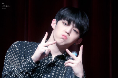 Seventeen S.coups 崔勝澈