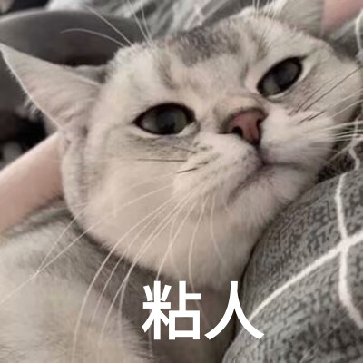 粘人