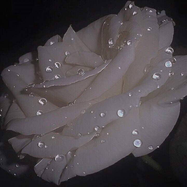 欧美复古 背景图 键盘壁纸 唯美 梦幻 