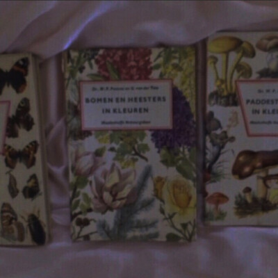 欧美复古 背景图 键盘壁纸 唯美 梦幻 