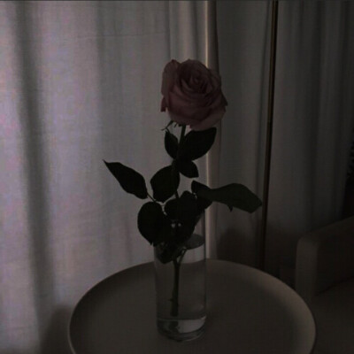 欧美复古 背景图 键盘壁纸 唯美 梦幻 