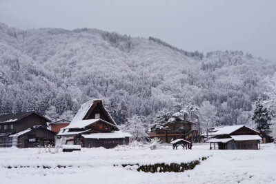 白川乡