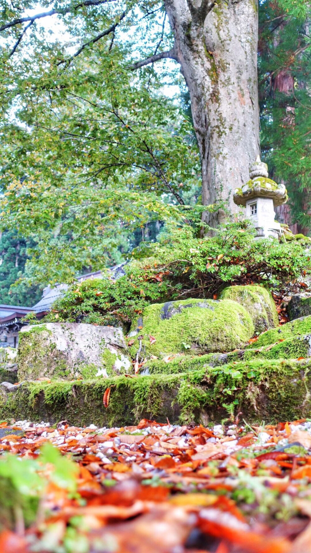 栃木县鬼怒川日光