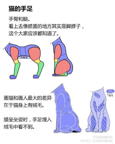 绘画教程