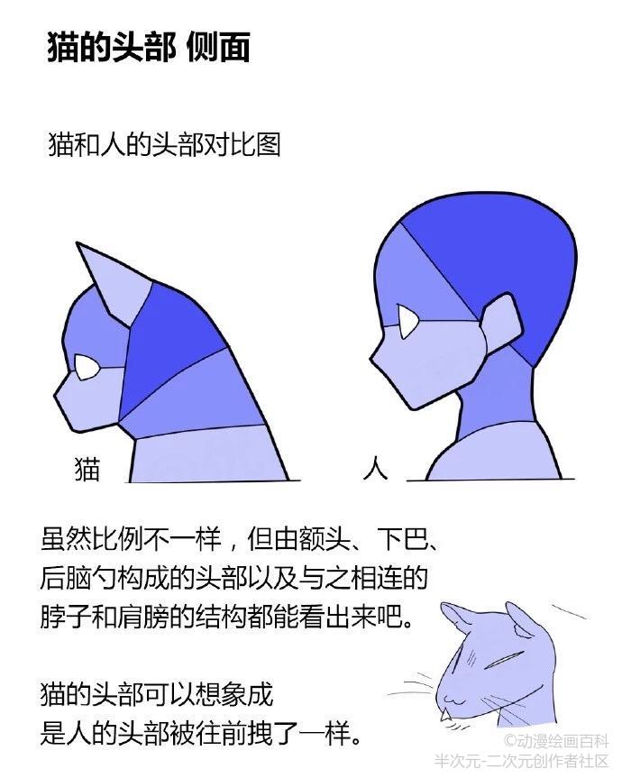 绘画教程