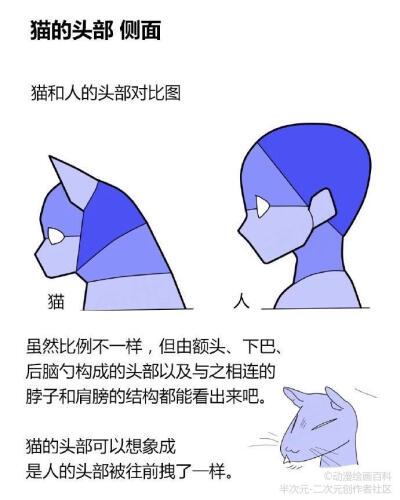 绘画教程