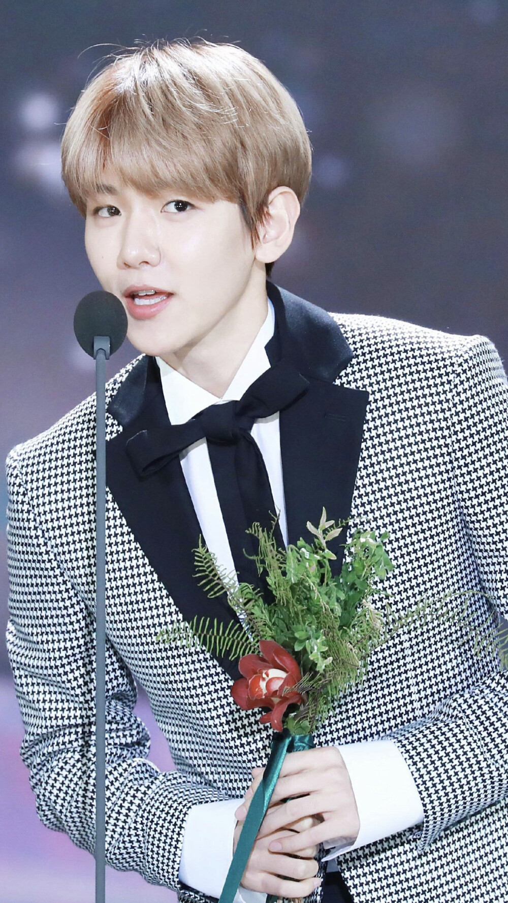 baekhyun 奶啵儿