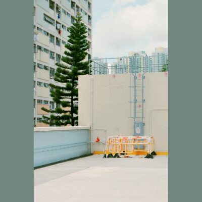 有人曾对我说，香港是ta的梦，闪闪发光的城市，无可取代的感觉
我想说，是的，这是一个独一无二的城市
在我们的眼中
一七年的夏天
我在香港的彩虹邨
一九年的冬天
突然看到曾经ta对我说的话
也就突然想起那时…