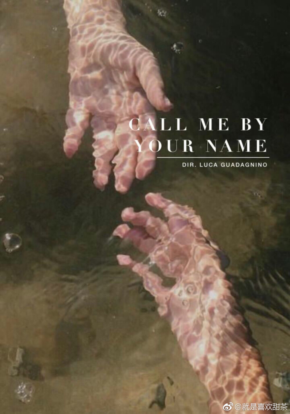 请以你的名字呼唤我 call me by your name