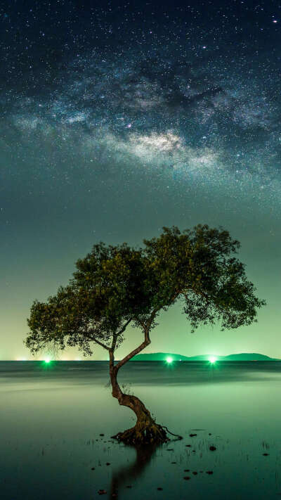 来自华为 丰富您的世界