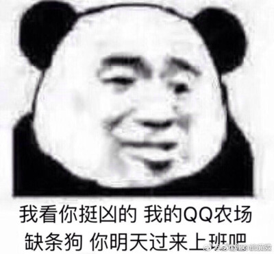 二传注明：堆糖俯视