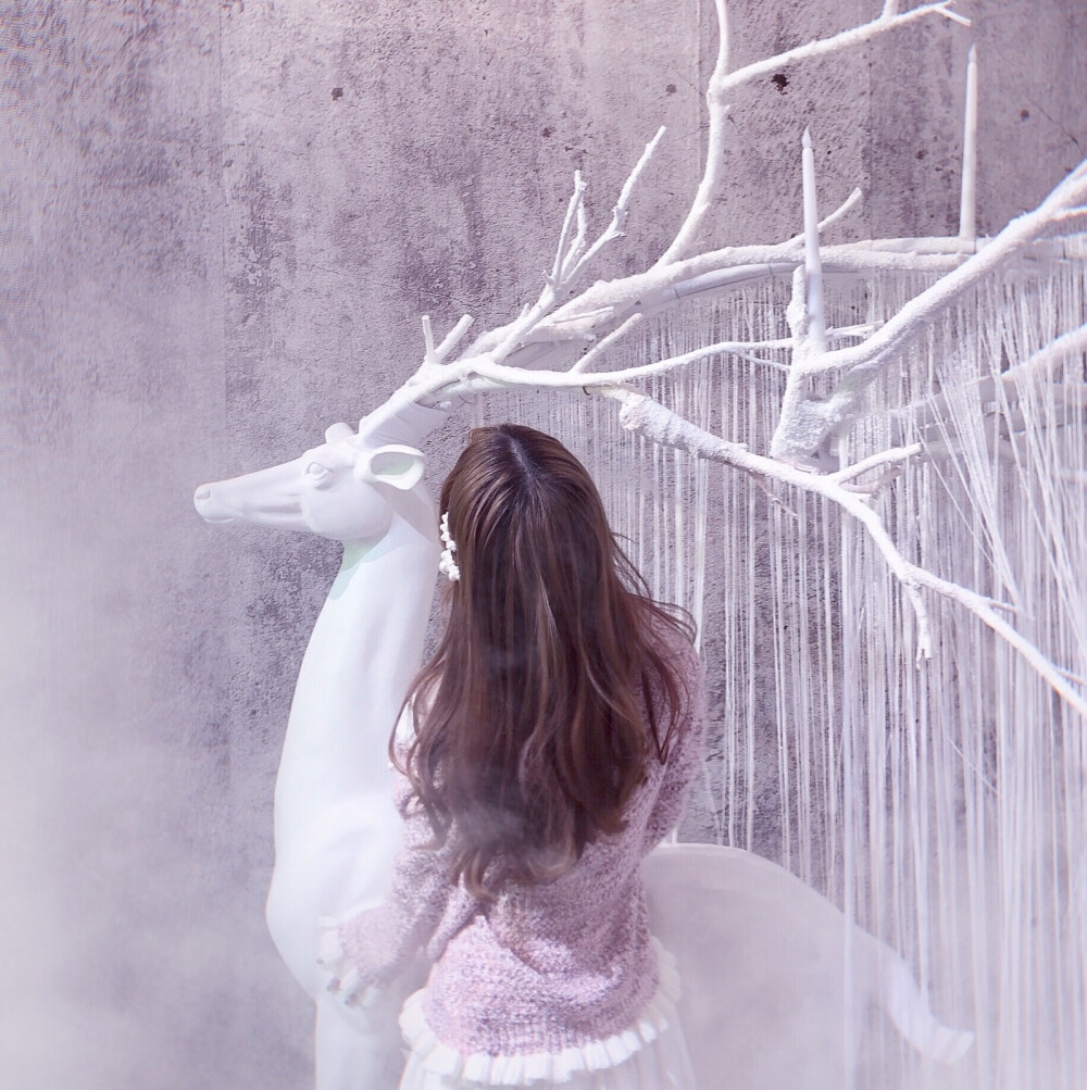 二传注明 顾诗恬