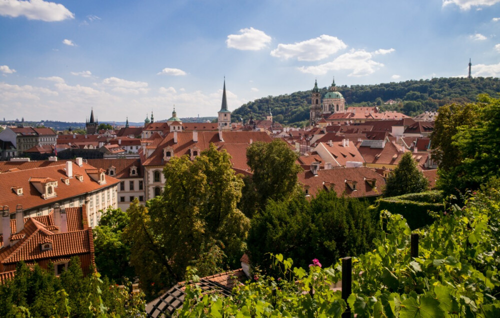 forest, architecture, hill, town, chateau, city