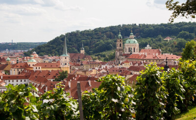 architecture, hill, flower, town, chateau, travel