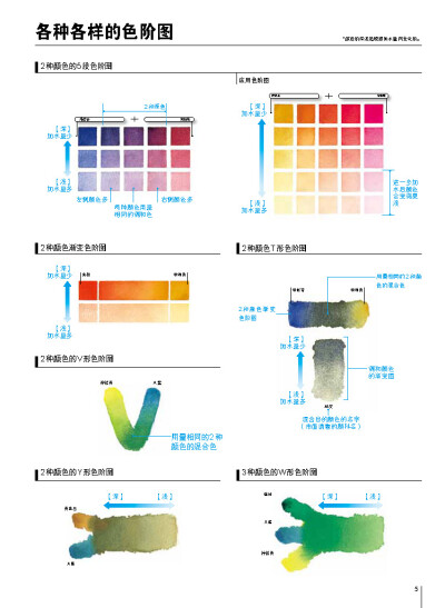 我的初学水彩画 学习