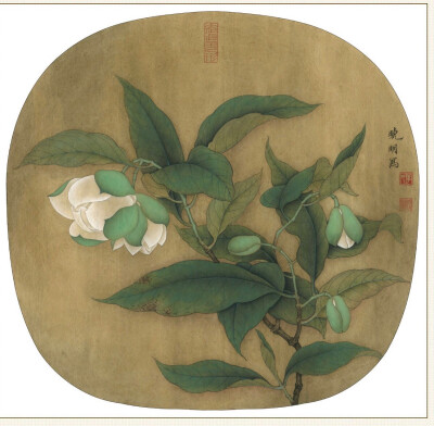 夜合花图