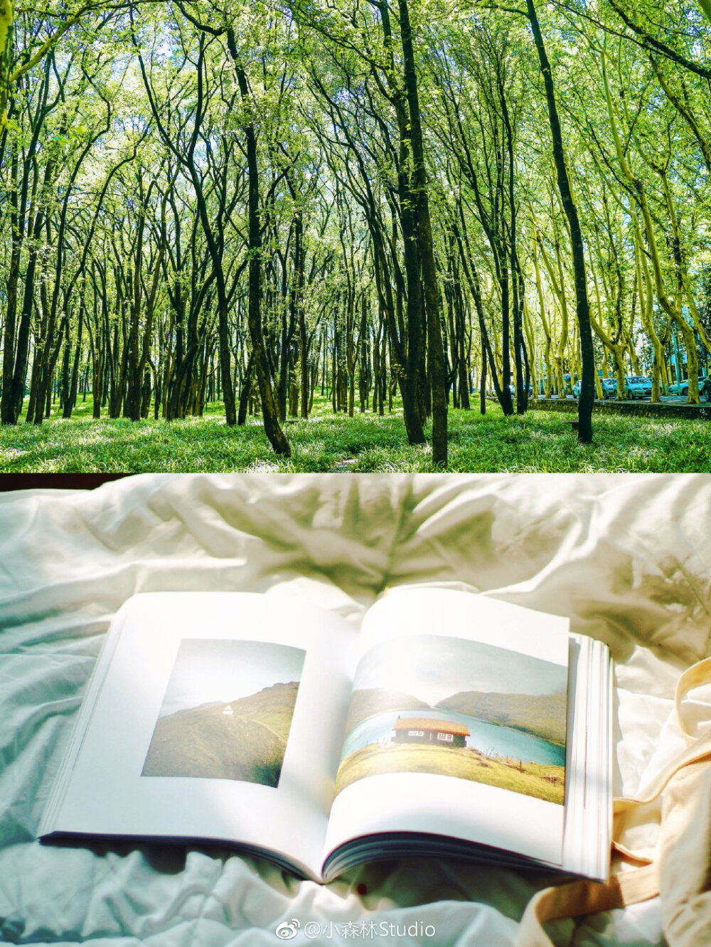 晴日片段
摄影@小森林Studio