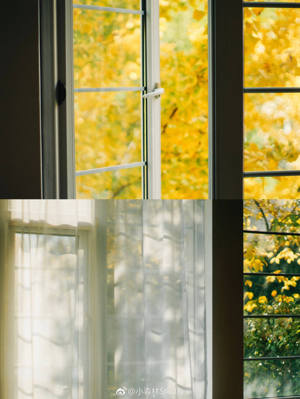 晴日片段
摄影@小森林Studio