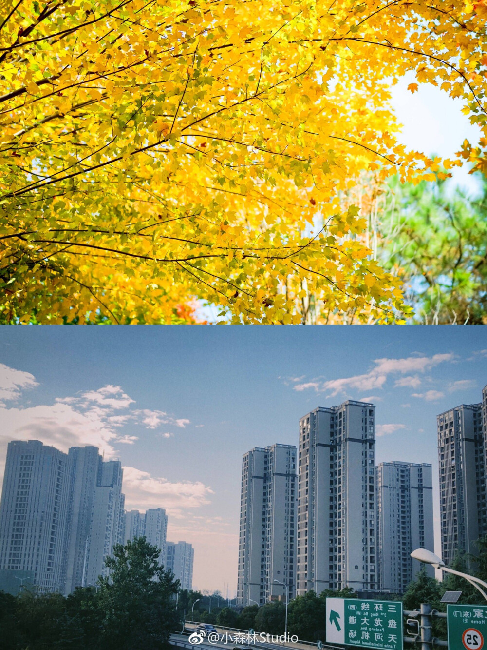 晴日片段
摄影@小森林Studio