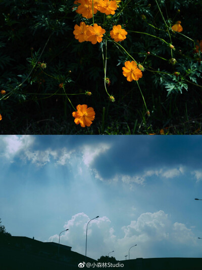 晴日片段
摄影@小森林Studio