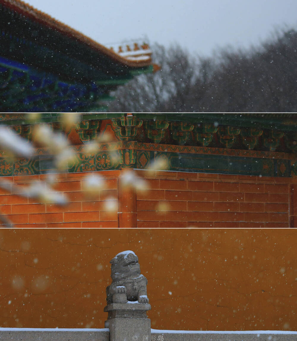 一丈红尘雪，千树玉香寒。
南京，明孝陵。#恋上冬日# ​
摄影@回形岛