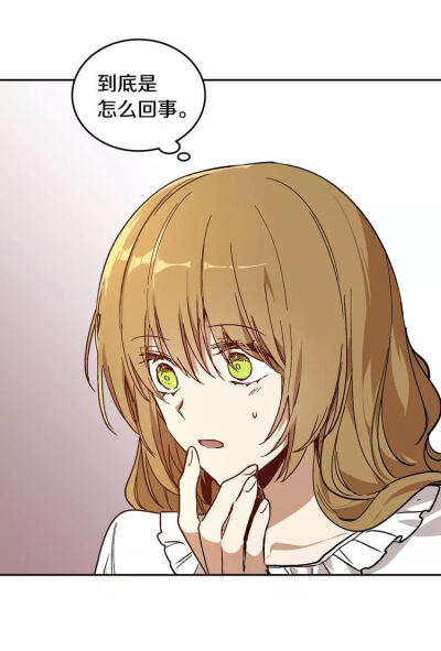 公爵的契约未婚妻