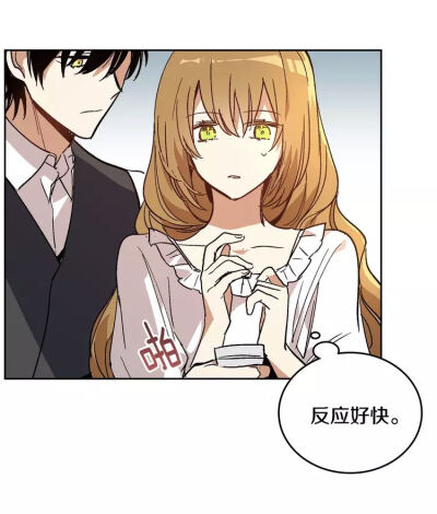 公爵的契约未婚妻