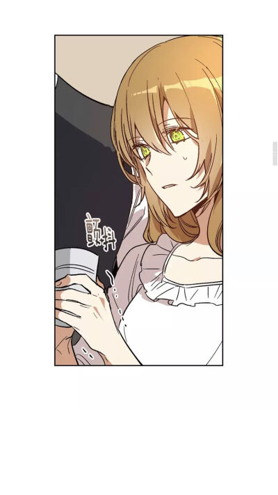 公爵的契约未婚妻